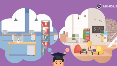 startup vs big company