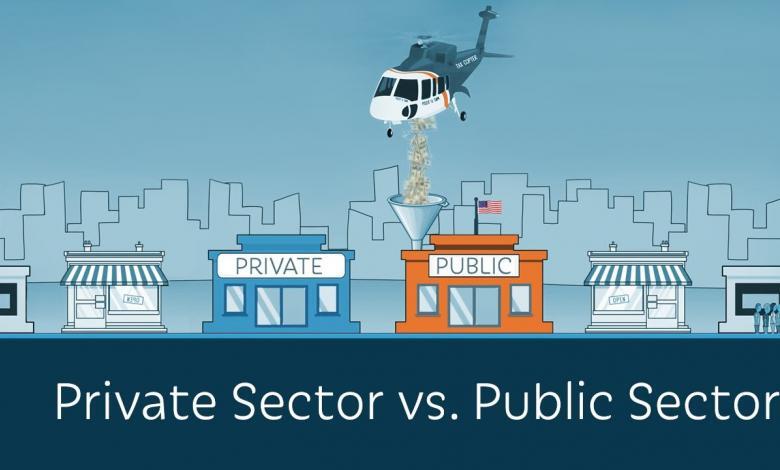 perbedaan sektor swasta dan sektor publik